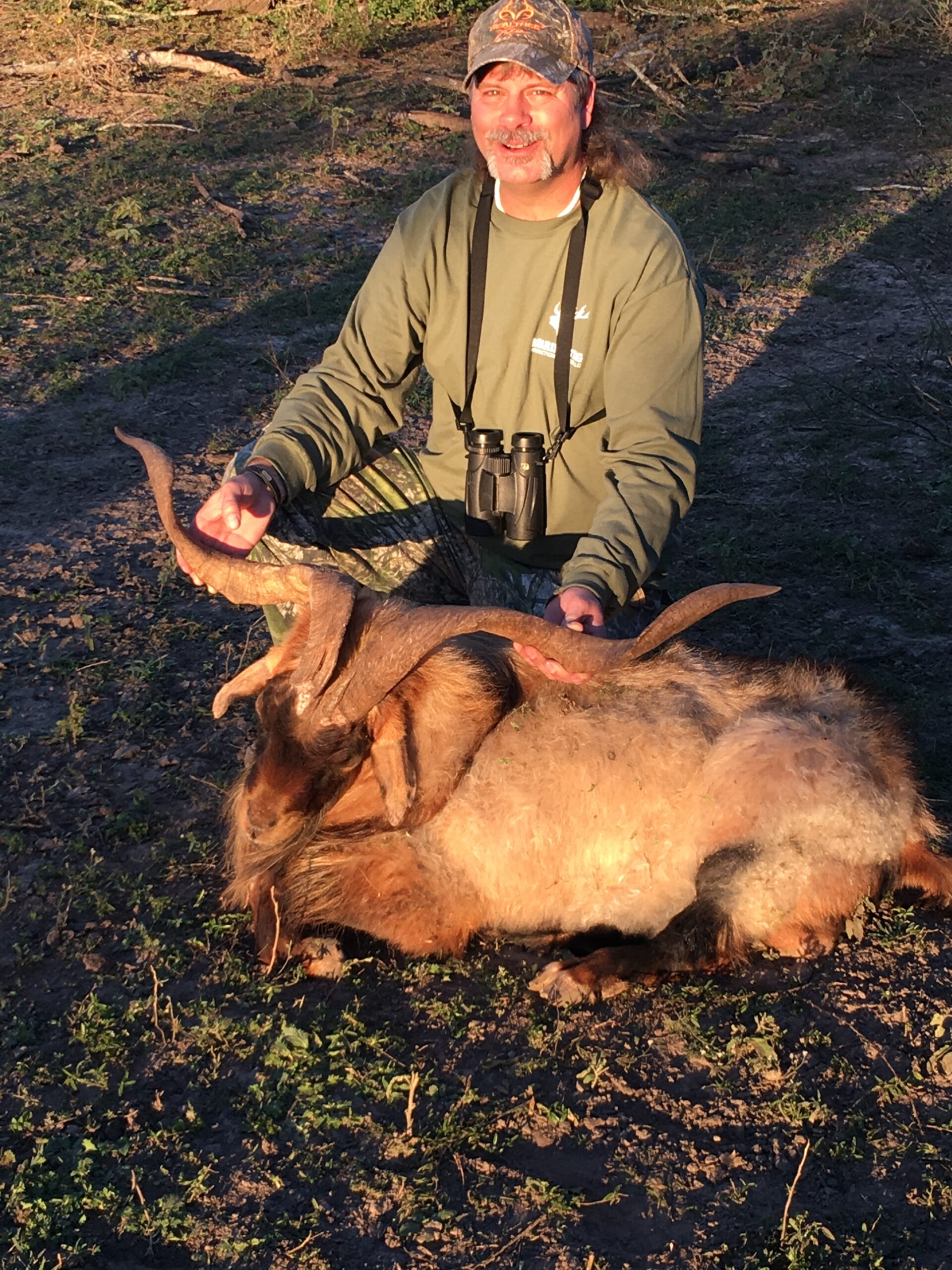 Trophy Catalina Hunting in Texas