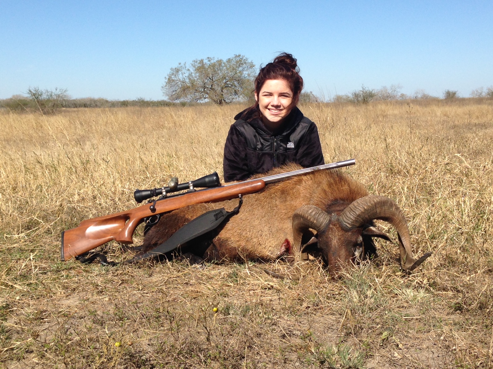 Trophy Corsican Sheep Hunting in Texas