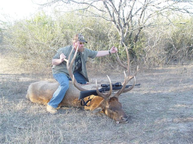 Trophy Elk Hunting