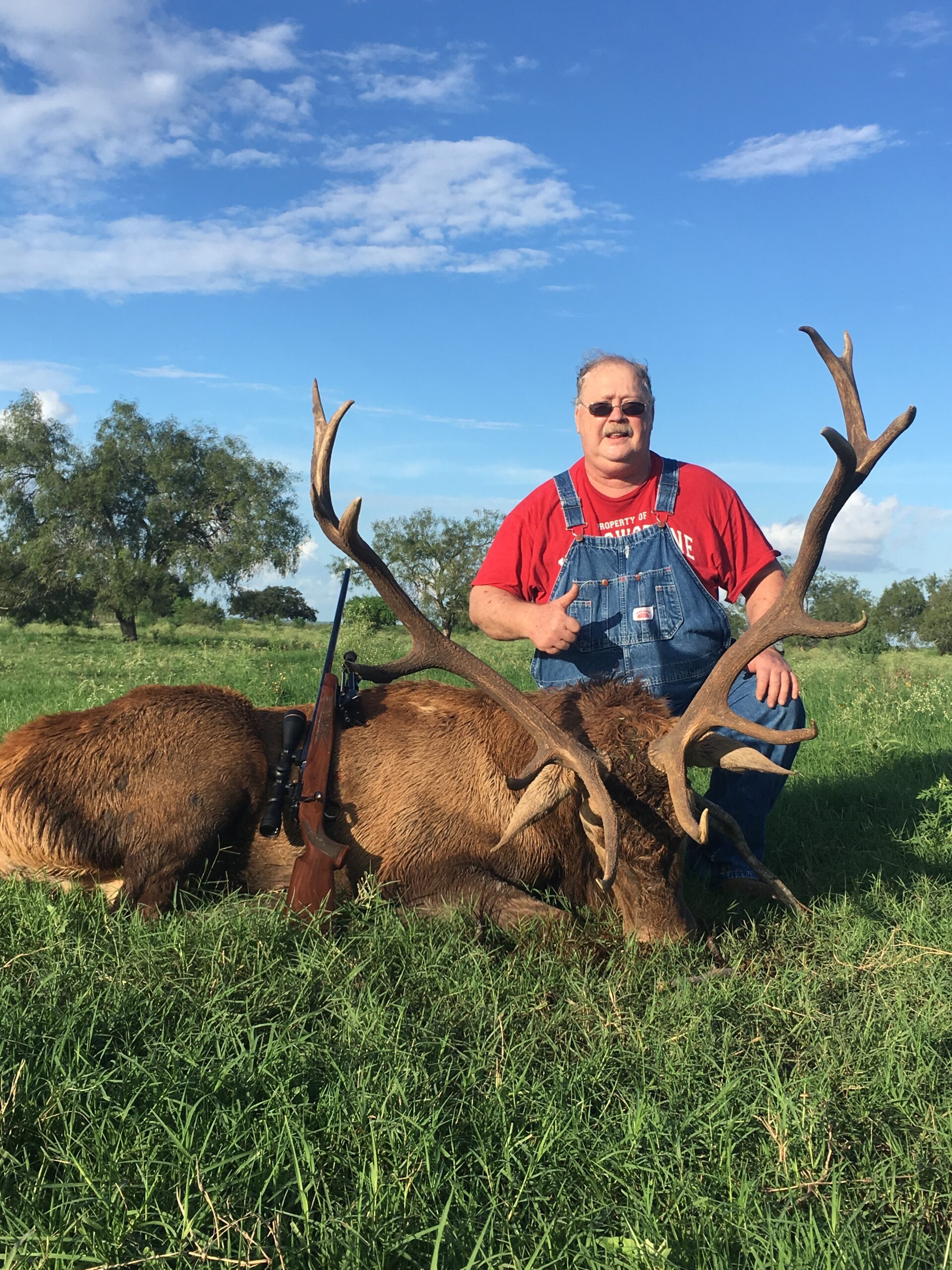 Trophy Red Stag Hunting