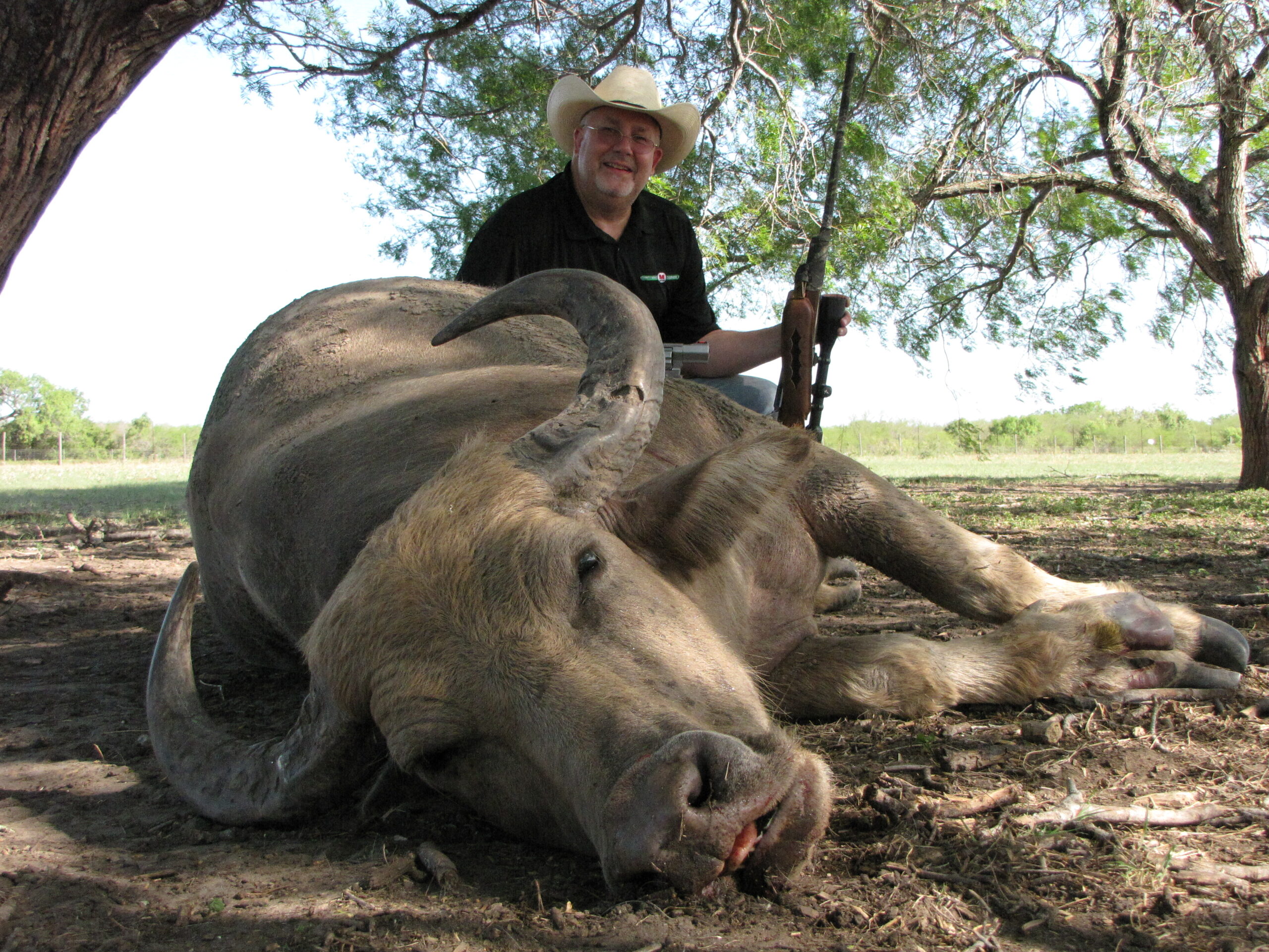 Texas Water Buffalo Hunting