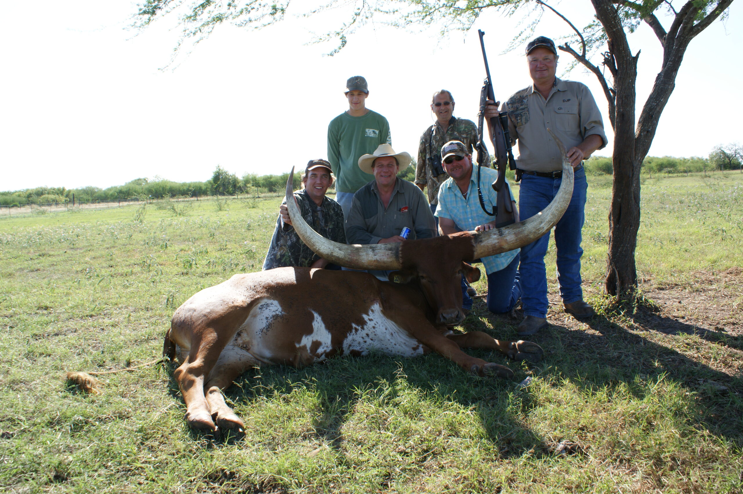 Texas Watusi Hunting