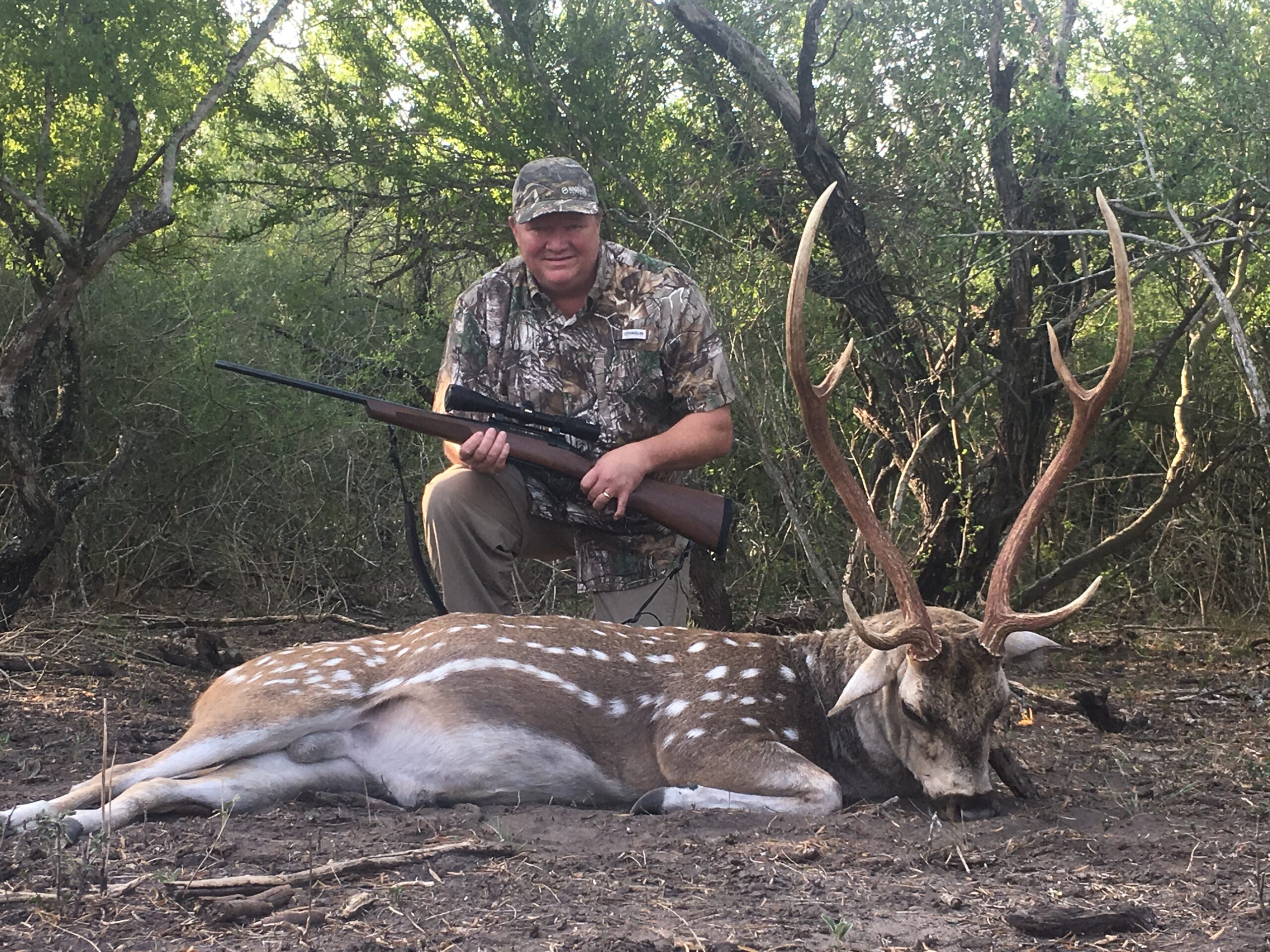 Trophy Axis Deer Hunting in Texas