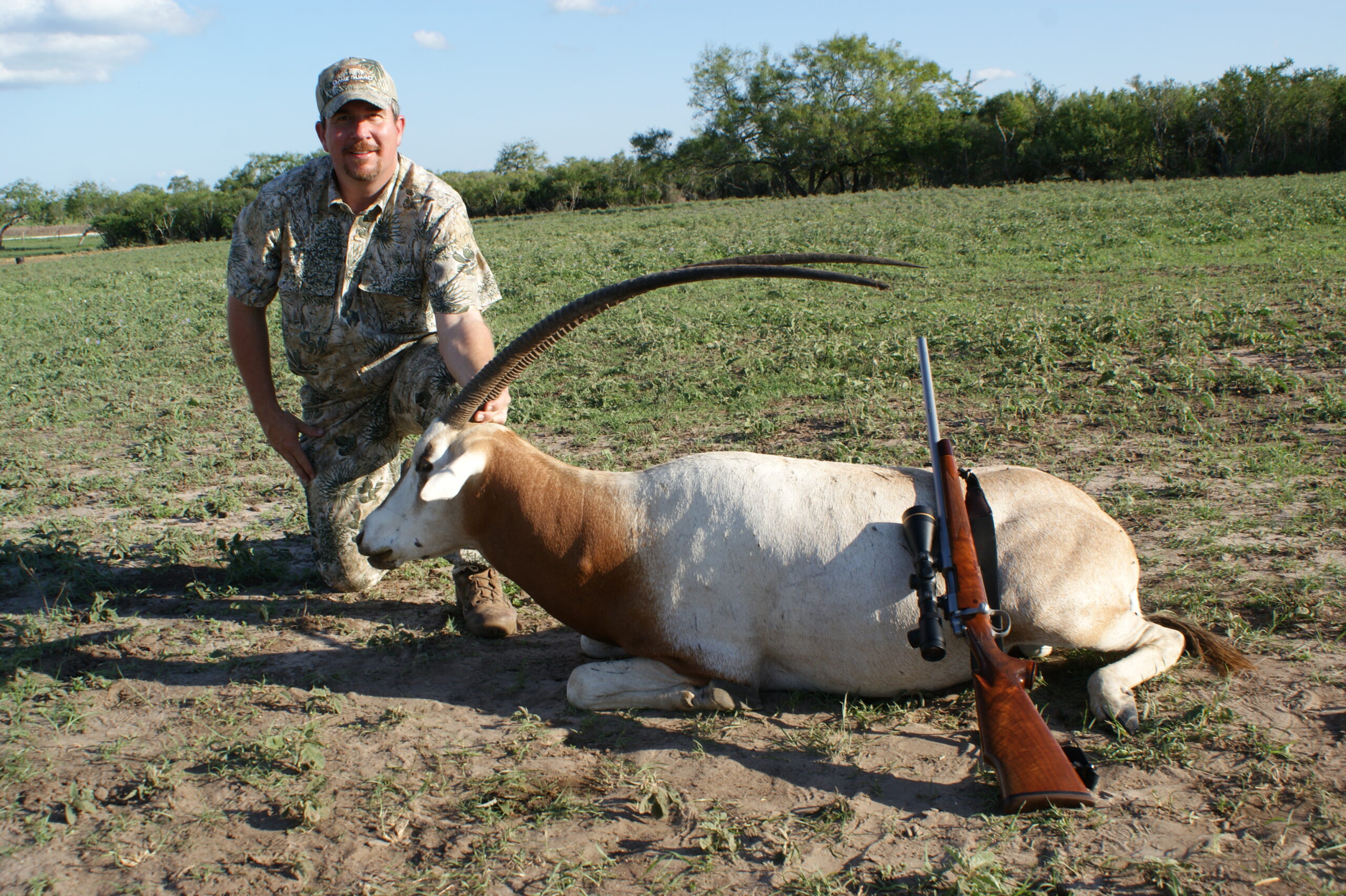 Trophy Scimitar Horned Oryx Hunting